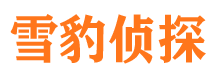 四川捉小三公司